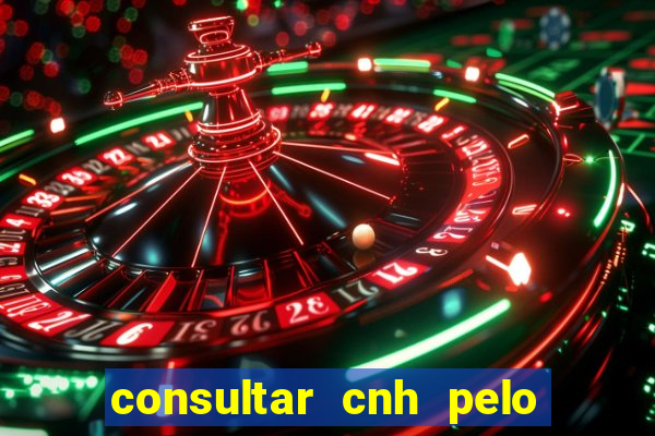 consultar cnh pelo cpf sp